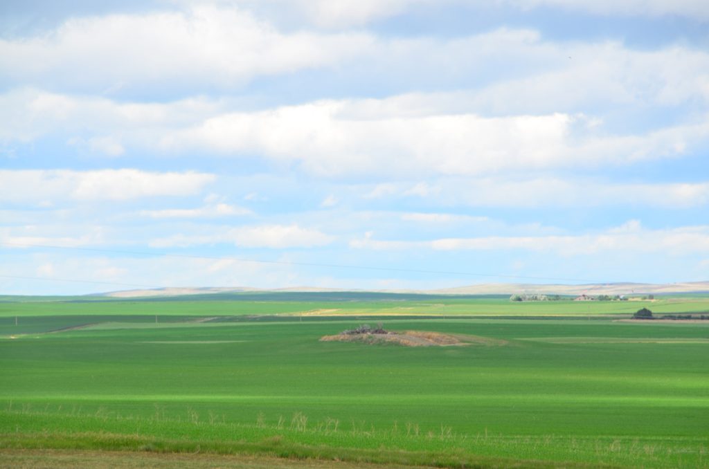 typical scene near Montana border