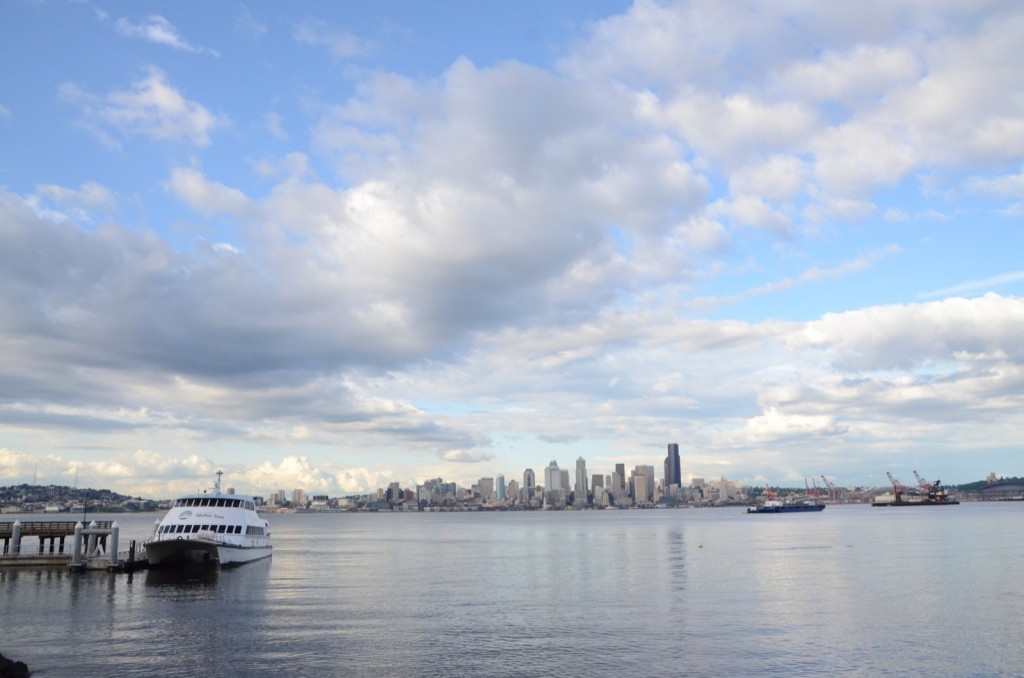 View of the downtown from West Seattle