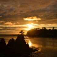 Oregon Coast